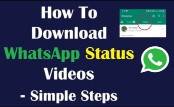 apk ntn com whatsapp status download